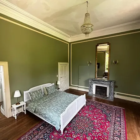 Chateau De Laclaireau Bed & Breakfast *