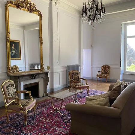 Chateau De Laclaireau Bed & Breakfast *
